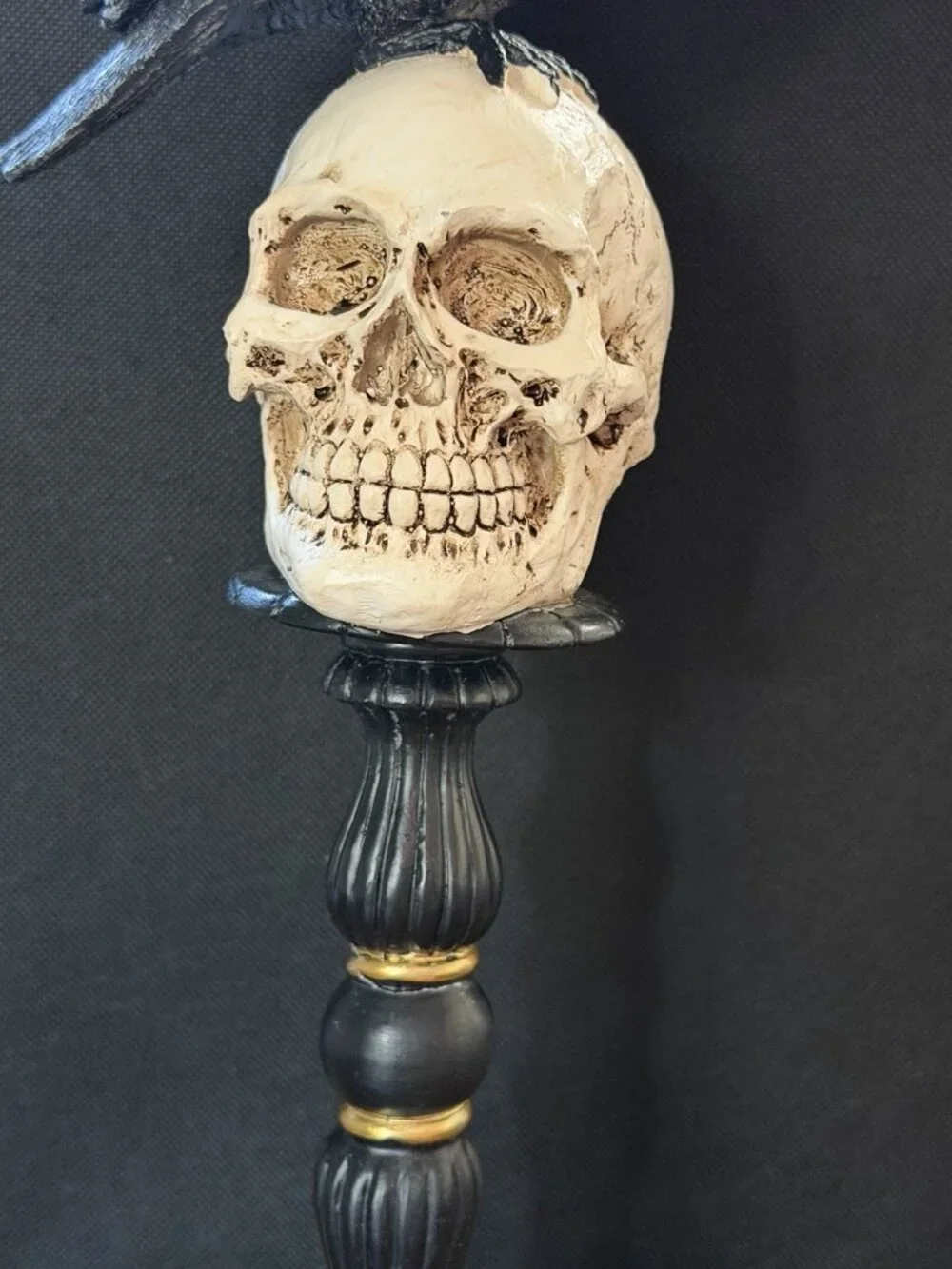 Raven On Skull On Pedastel Trimmed With Gold 15”